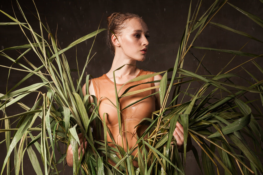 Centella Asiatica – Die sanfte Heldin für beruhigte und gestärkte Haut