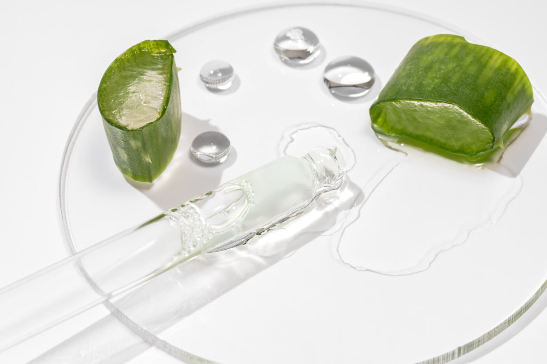 Aloe Vera – Mehr als nur After-Sun: Das sanfte Wunder für Haut in Balance