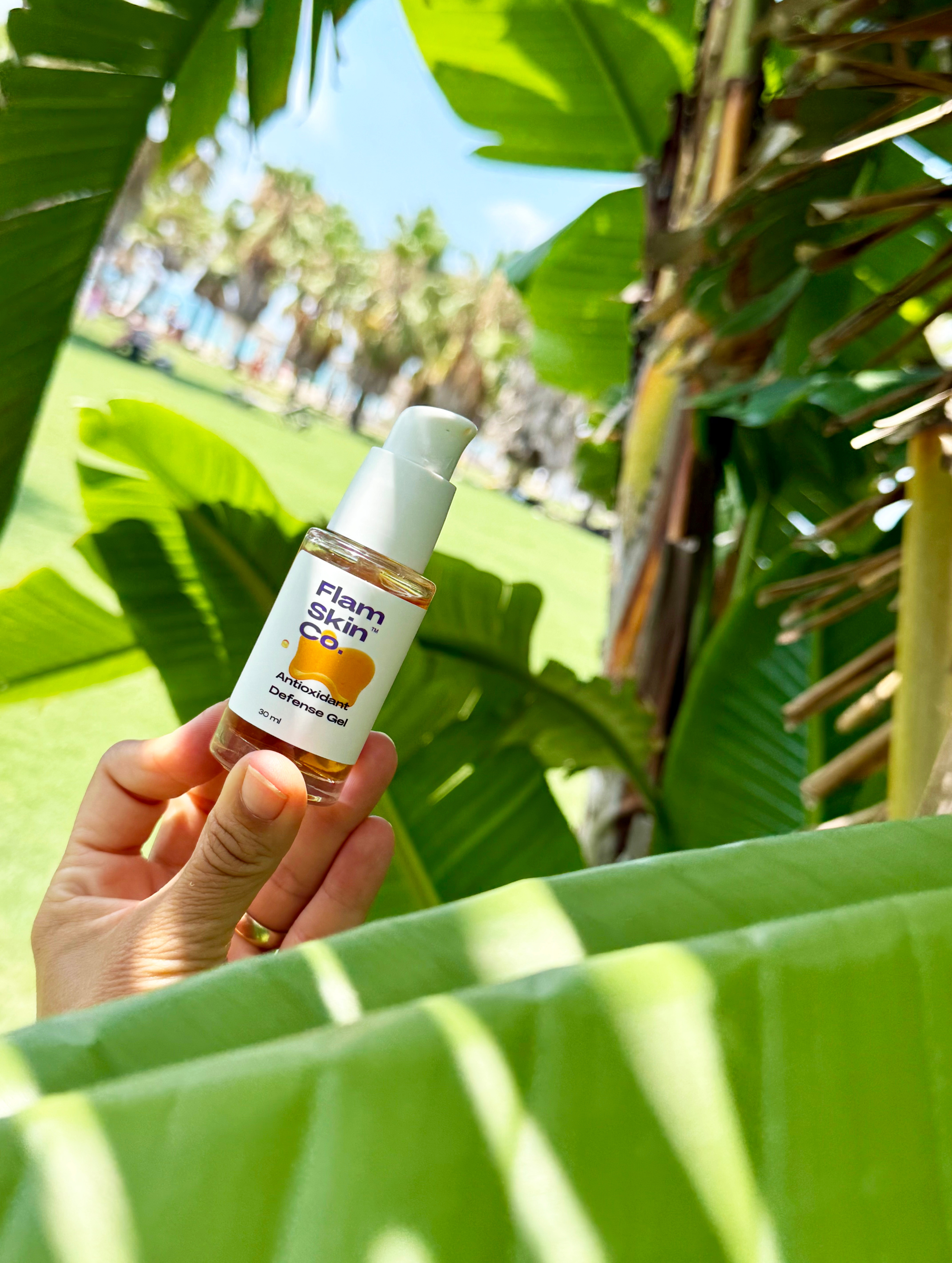 Antioxidant Defense Gel 30ml