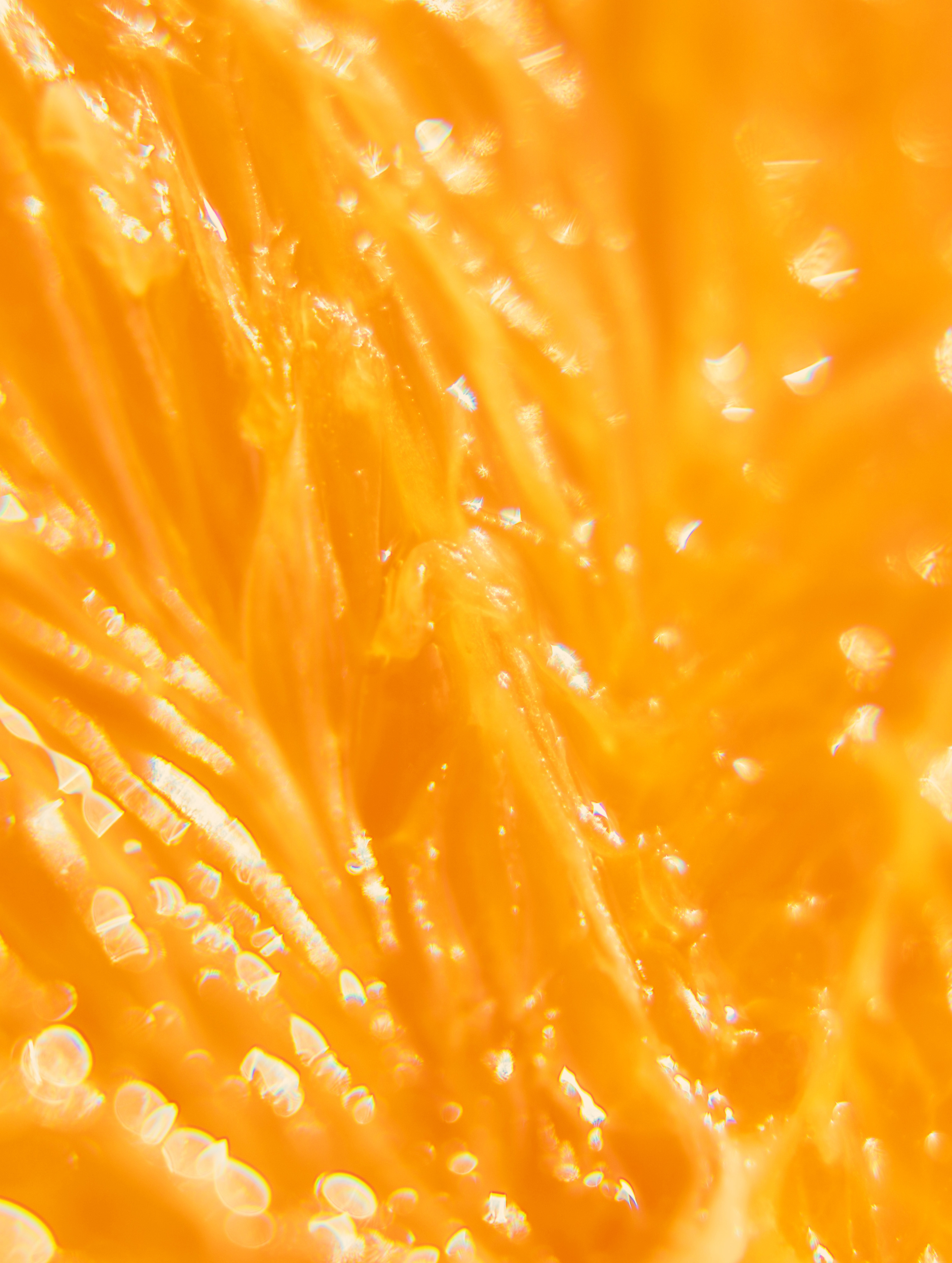 Citrus Vitality Conditioner