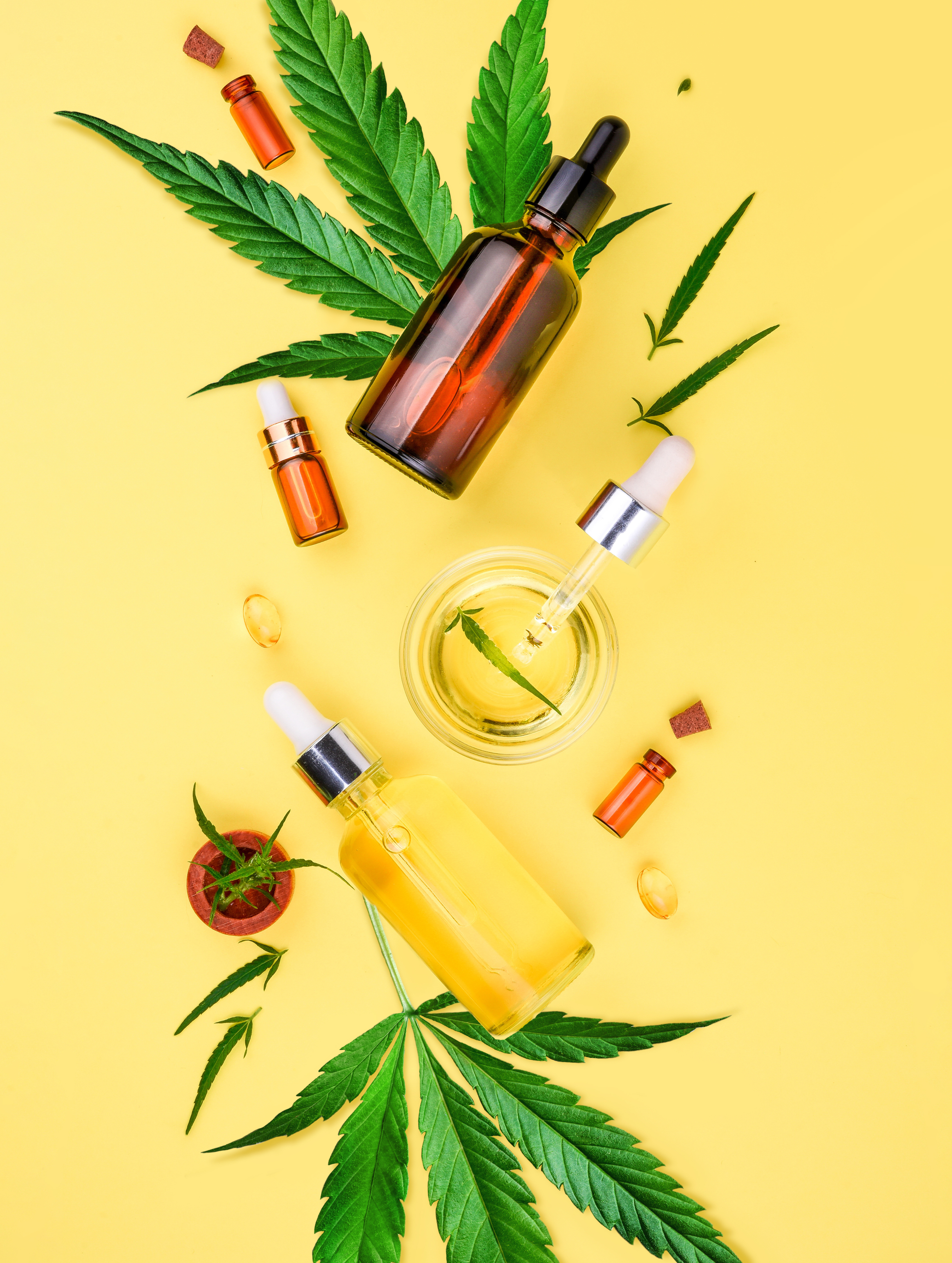 Calming Facial Oil 20ml