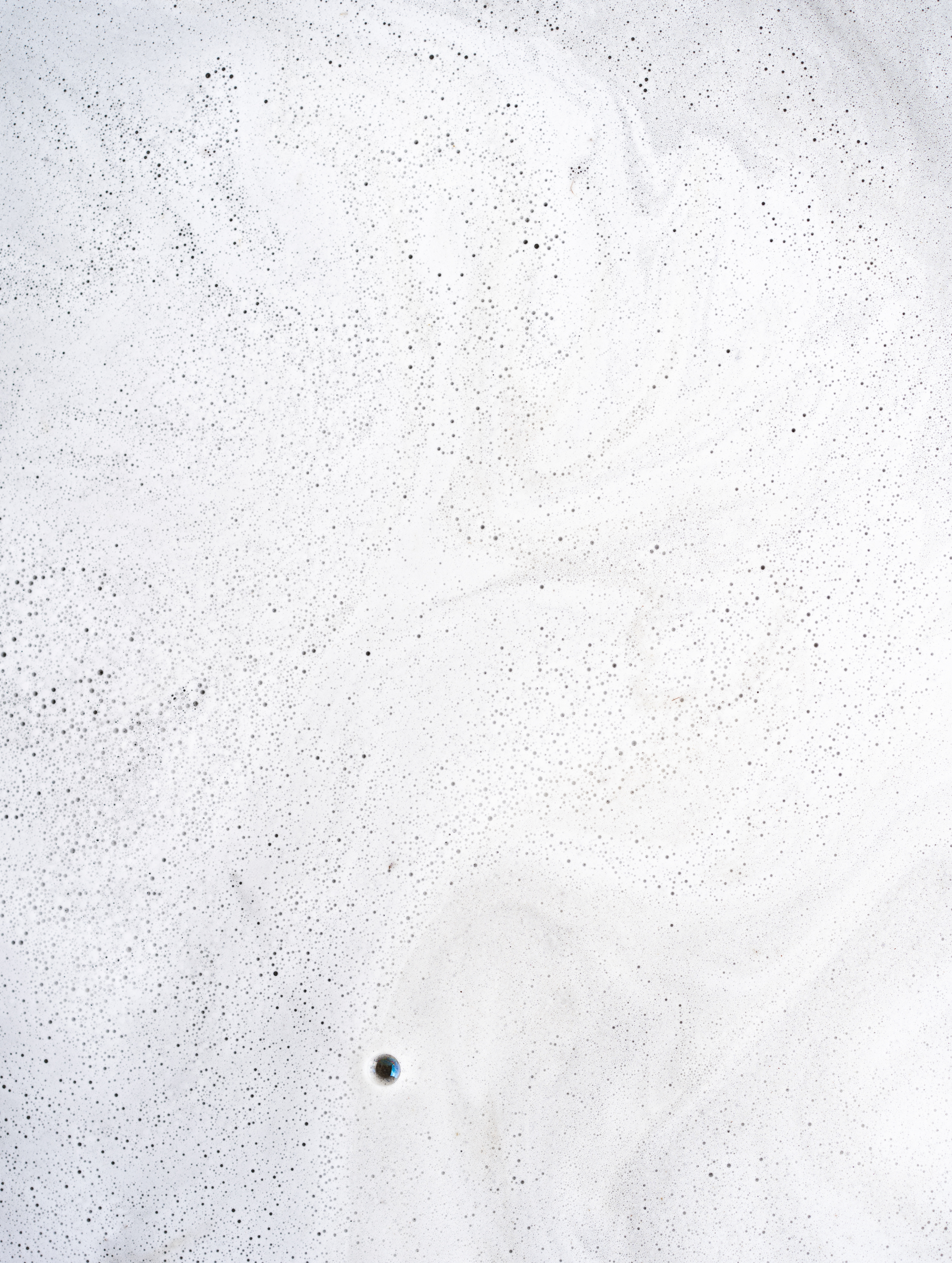 Calm Scalp Shampoo